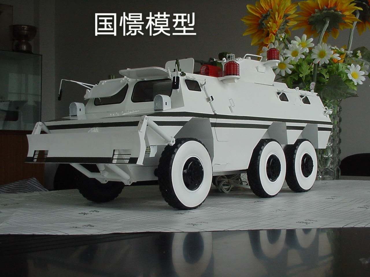 神木县军事模型